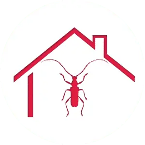 Fongicide contre la mérule et insecticide (insectes xylophages)