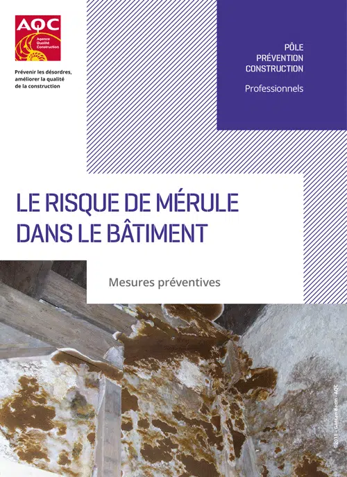 Le risque de mérule dans le bâtiment, mesures préventives - Le diagnostic mérule