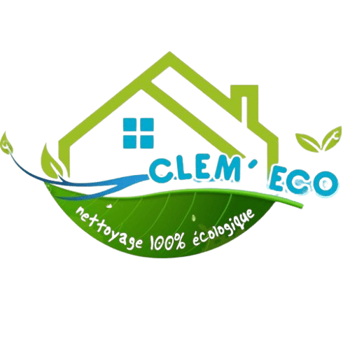 Logo de la société Clem'éco
